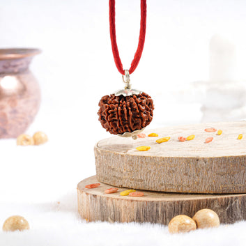 Ten Mukhi Rudraksha (Nepali)