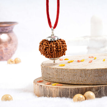 Eleven Mukhi Rudraksha (Nepali)