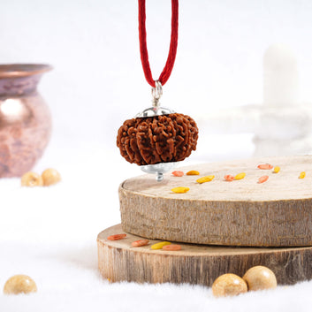 Twelve Mukhi Rudraksha (Nepali)