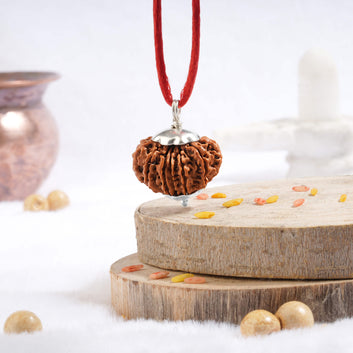 Thirteen Mukhi Rudraksha (Nepali)
