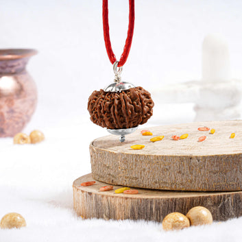 Fourteen Mukhi Rudraksha (Nepali)