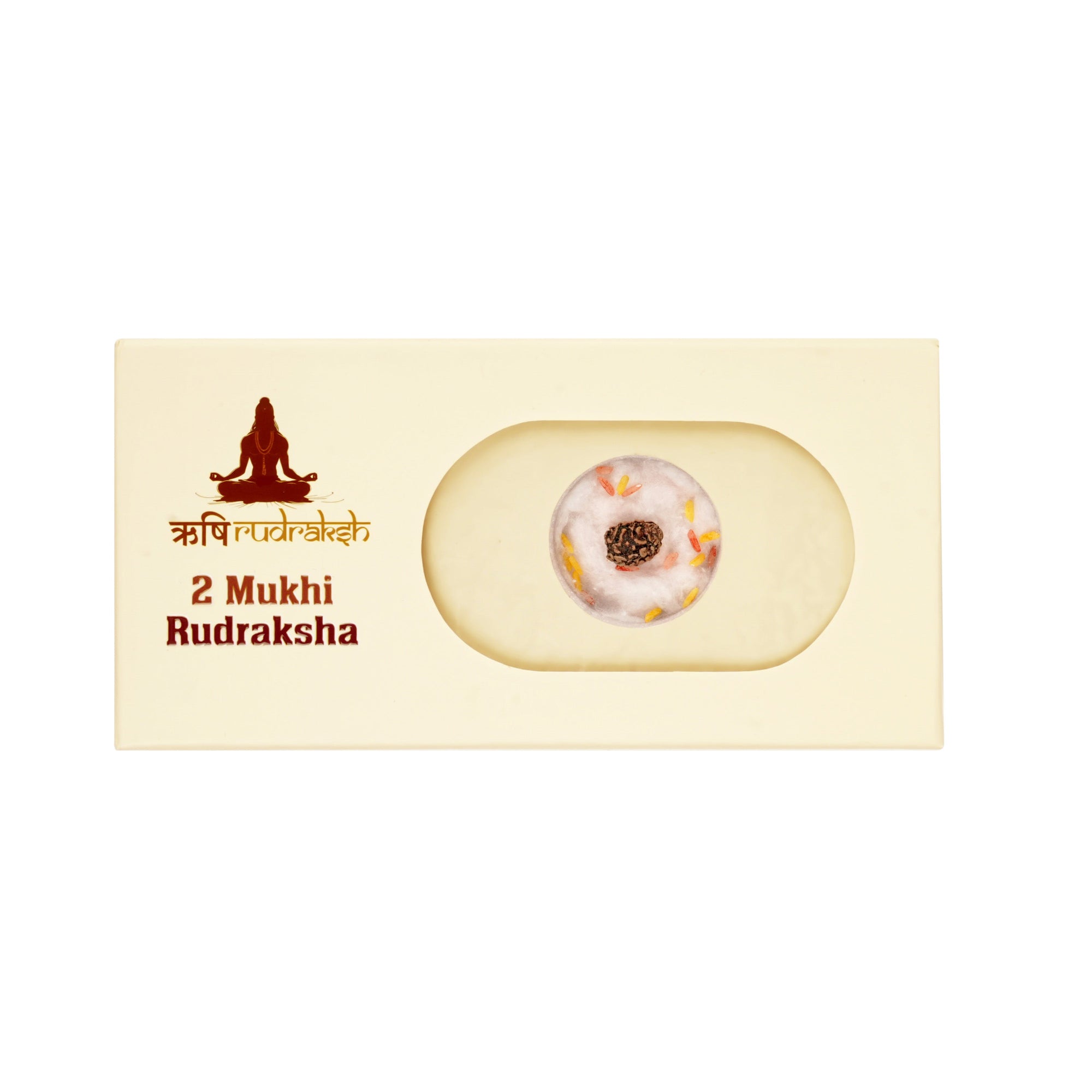 Two Mukhi Rudraksha (Nepali)