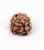 Two Mukhi Rudraksha (Nepali)