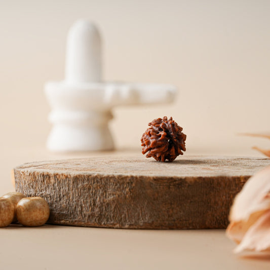 Three Mukhi Rudraksha
