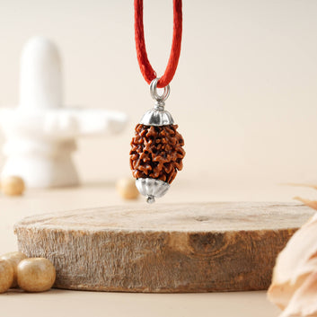 Three Mukhi Rudraksha