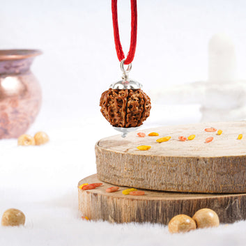 Eight Mukhi Rudraksha (Nepali)
