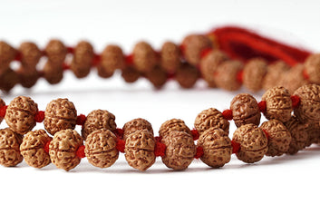 Rudraksha Mala (Chikna / Pathari Mala)